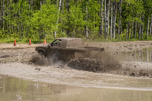 4x4-truck-640x480-14728444.jpeg