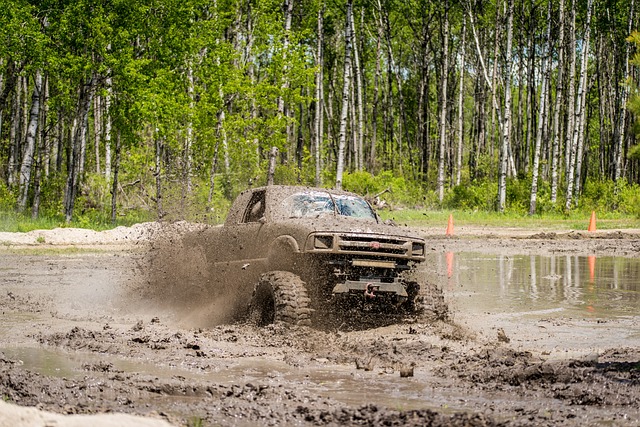 4x4-truck-640x480-36743994.jpeg