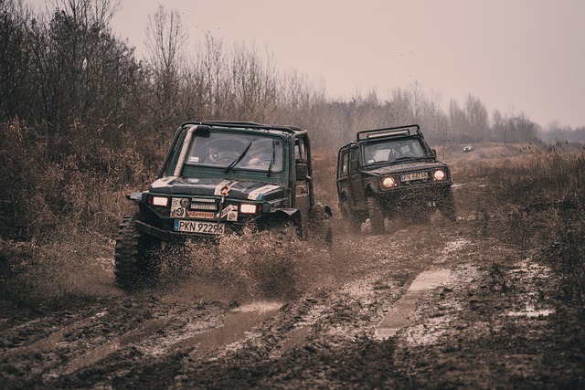 4x4-truck-640x480-56732689.jpeg