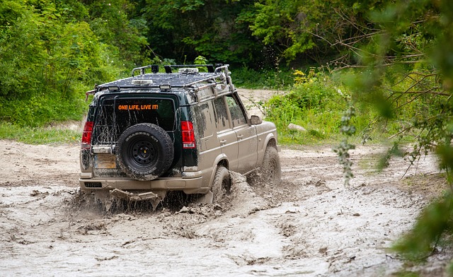 4x4-truck-640x480-72508785.jpeg