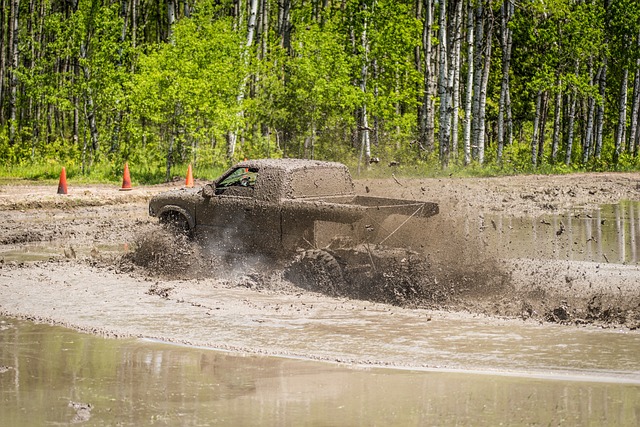4x4-truck-640x480-70358614.jpeg
