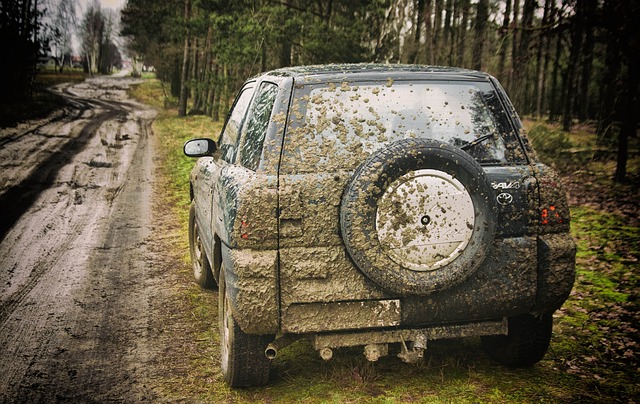 4x4-truck-640x480-64815935.jpeg