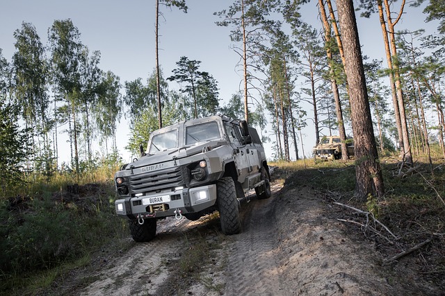 4x4 truck