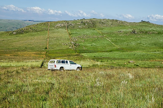 4x4 Truck