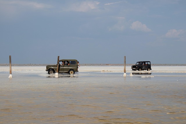 4x4 truck