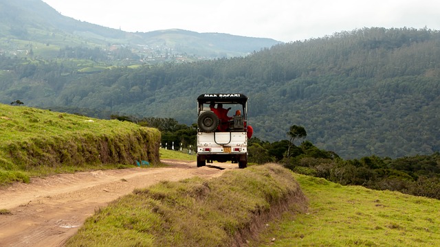 4x4 truck